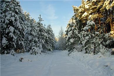 《魔法微量球6》免费第二赛季DLC更新现已发布